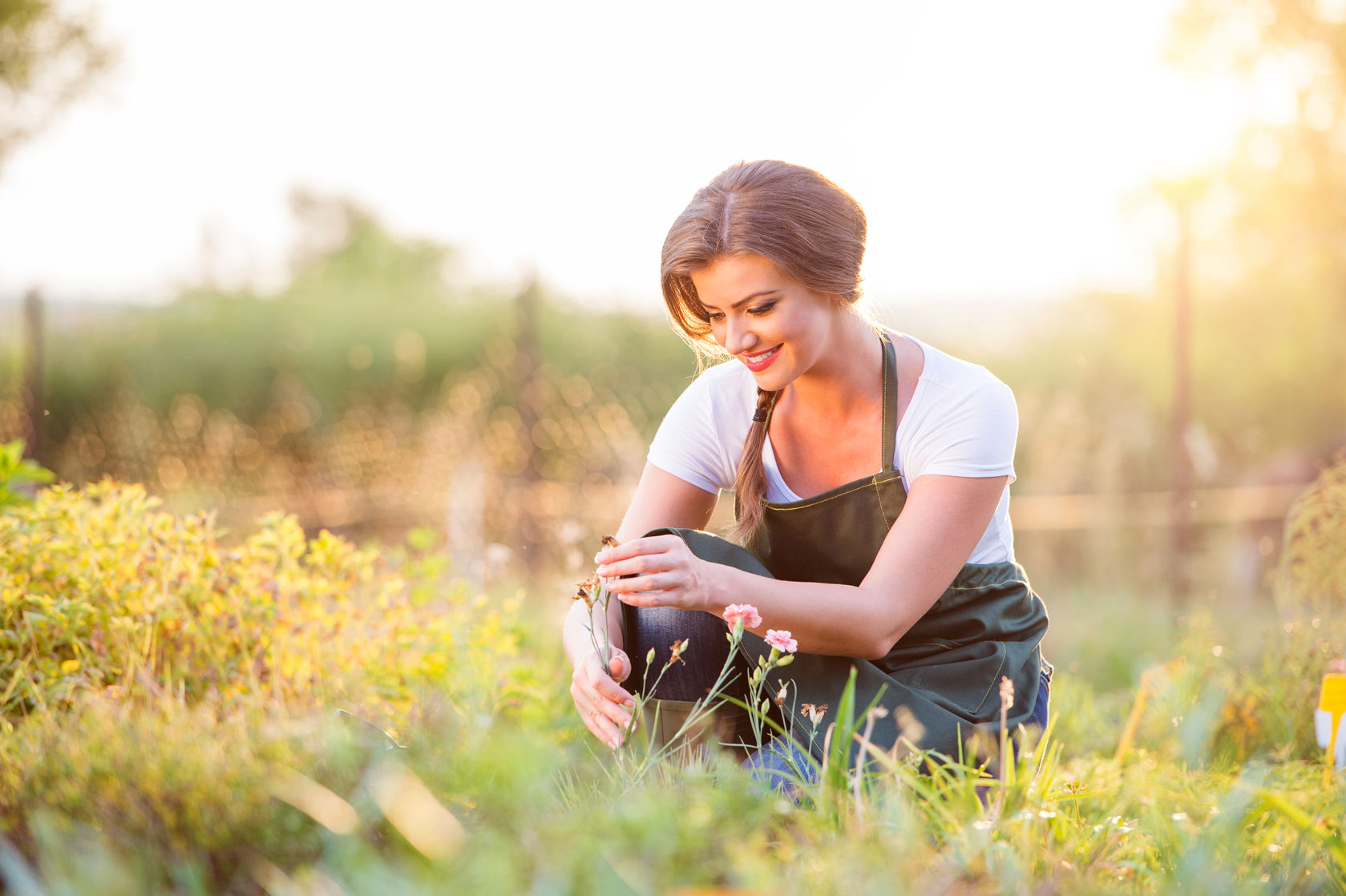 Spring Gardening